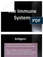 As Level Biology AQA Immune Response