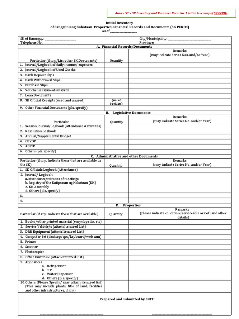 SK Initial Inventory Form | PDF