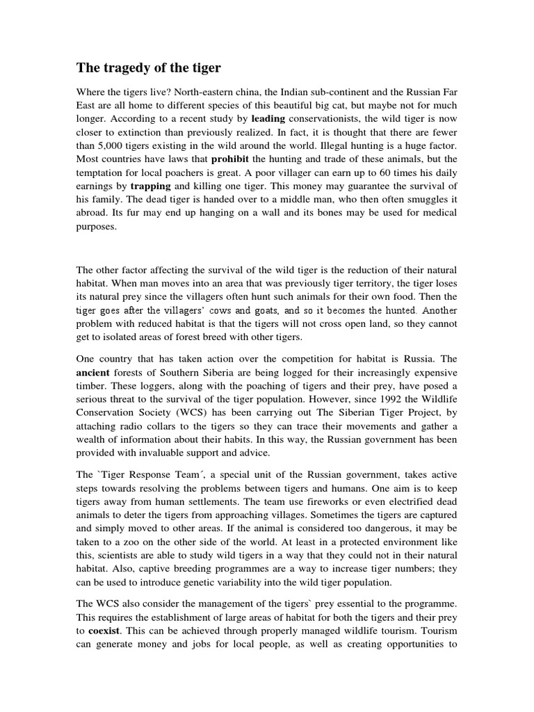 Saving Tigers: Challenges and Solutions | PDF | Tiger | Poaching