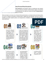 Principios Rectores Del Proceso Penal