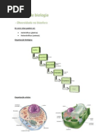 Resumo de Biologia e Geologia