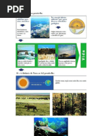 A Terra é o único corpo celeste em que se sabe existirem seres vivos