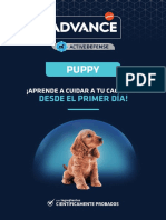 Advance Puppy
