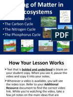 Cycling of Matter