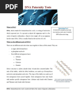 DNA Paternity Tests