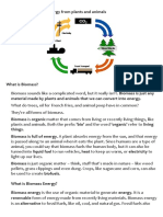 Biomass Lesson