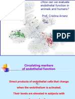 4 - Evaluation Endothelial Function