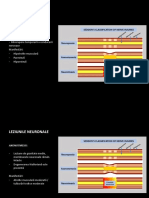 Leziuni de Nerv