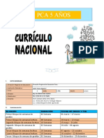 Programacion Curricular 5 Años