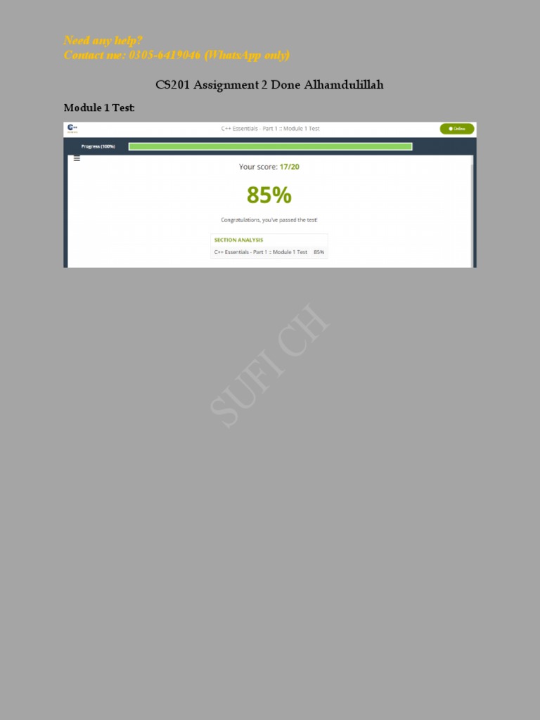CS201 Assignment 1 Support 2025 | PDF | Career & Growth | Business