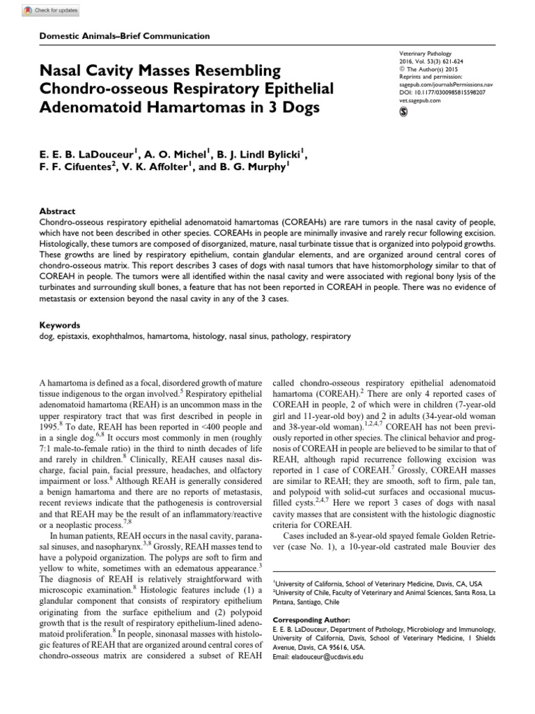 ChondroOsseous Respiratory Epithelial Adenomatoid Hamartomas in 3 Dogs