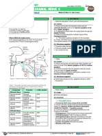 Vagus Nerve Cranial Nerve X Atf