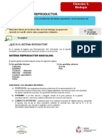 Biología 1A-F Sistema Reproductor