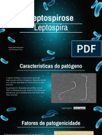 Slides Sobre Leptospirose