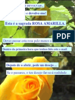 Sagrada Rosa Amarela