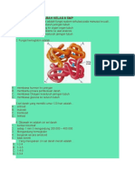 Soal Sirkulasi Darah Kelas 8 SMP
