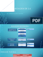 Tema 6 Patologia Pleural