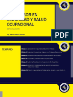 Modulo VI ISO 45001 2018 Sistemas de Gestión de Seguridad y Salud en El Trabajo RPCH