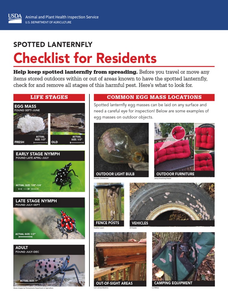 How To Help Keep Spotted Lanternflies From Spreading PDF