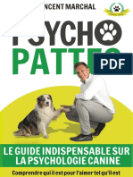 Educ Dog Ebook Psycho Pattes