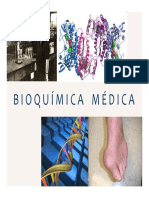 Clase 12. Sintesis de Ácidos Grasos, Beta Oxidación, Colesterol, Lípidos Mensajeros