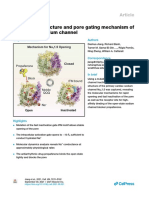 2022-Cell-Sodium Chanel cyroEM