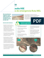 Guía HSE Uso de pistas de emergencia Ruta MEL V_4 final