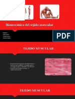 Biomecánica Del Tejido Muscular