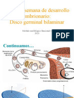 Segunda Semana de Desarrollo Embrionario