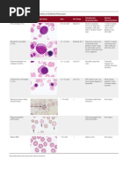 Lymphocyte Morphology | PDF | Lymphocyte | Medical Specialties