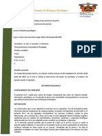 Documento Pericial