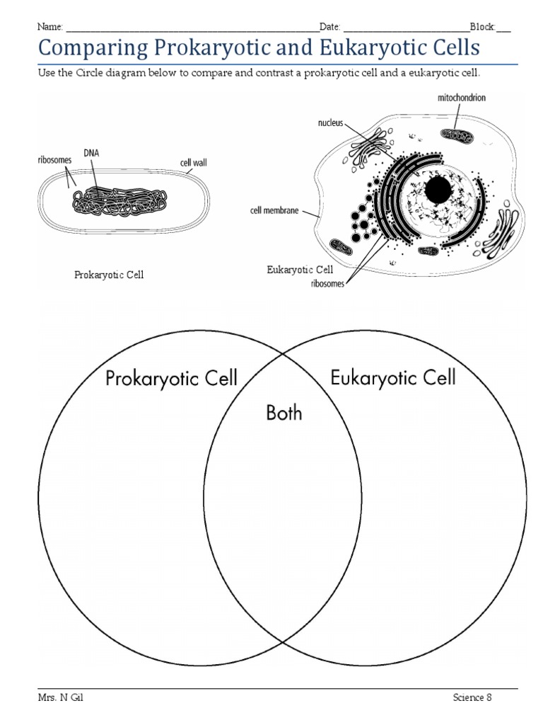 Comparing Prokaryotic Eukaryotic Cells Worksheet PDF
