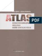 Atlas 2019
