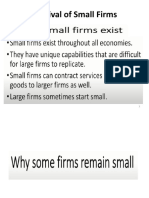 Survival of Small Firms-SLIDE