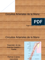 Circuitos Arteriales de La Mano