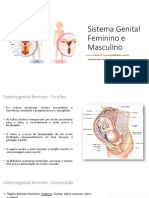 Aula 9 - Anatomia Humana - Sistemas Genitais Feminino e Masculino