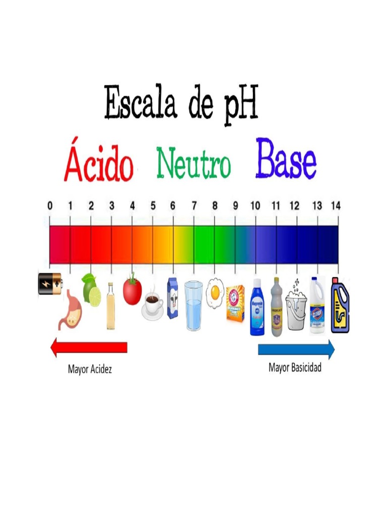 Escala De Ph Pdf