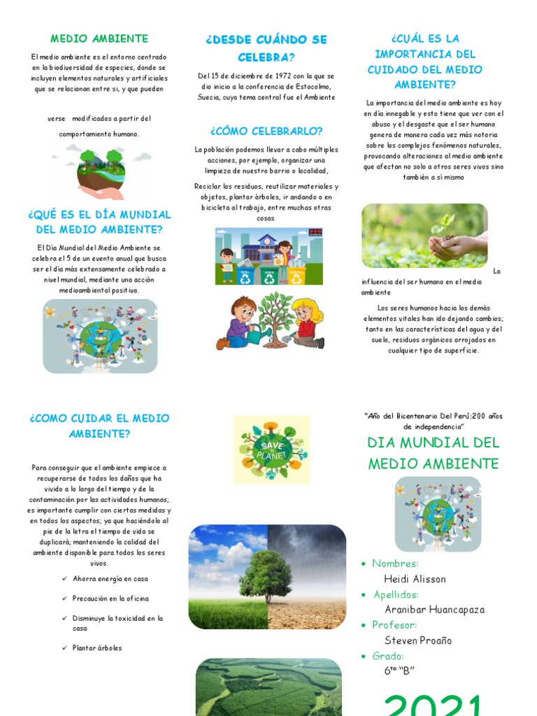 Tríptico sobre el Cuidado del Medio Ambiente | PDF | Entorno natural ...
