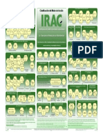 FOLLETO Clasificación MdA de Insecticidas y Acaricidas - 2022