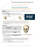 HumanEvolution Gizmo