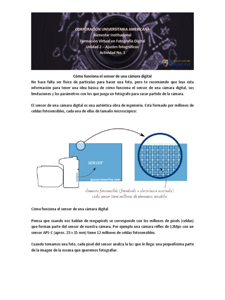 Actividad 1 - Unidad 2 - Partes Del Sensor | PDF