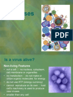 Copy of Viruses