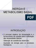 Energia e Metabolismo Basal - Aula 2