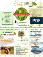 Leaflet Pemanfaatan Toga Untuk DM & HT (PKM Ngumpakdalem)