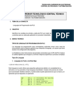 Ibanez Leonardo CP Consulta PLC