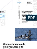 Comportamentos de Uma Populacao de Pato-Real Residente Num Parque Urbano No Norte de Portugal Du2