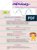 Ciclos Economicos