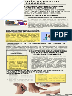 Infografia Auditoria de Costos