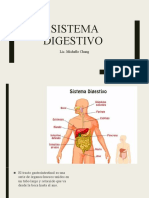 Sistema Digestivo