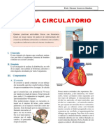 Sistema Circulatorio.